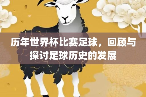 历年世界杯比赛足球，回顾与探讨足球历史的发展