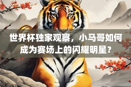 世界杯独家观察，小马哥如何成为赛场上的闪耀明星？