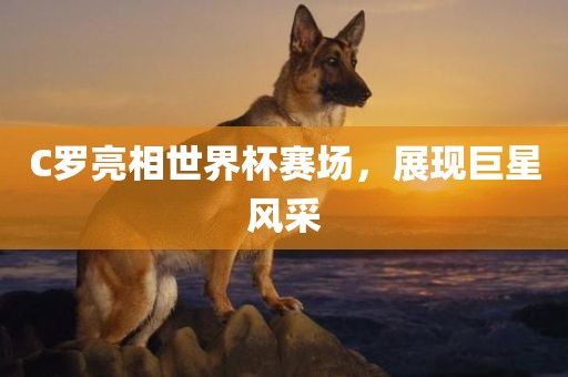 C罗亮相世界杯赛场，展现巨星风采