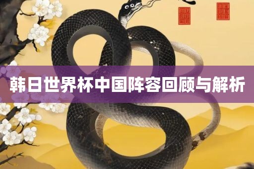 韩日世界杯中国阵容回顾与解析