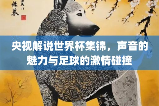 央视解说世界杯集锦，声音的魅力与足球的激情碰撞