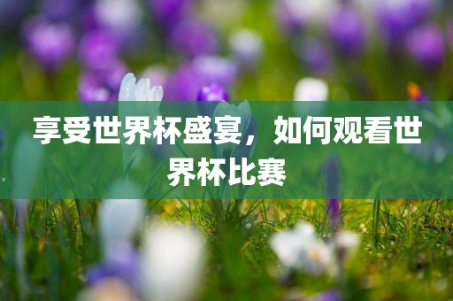 享受世界杯盛宴，如何观看世界杯比赛