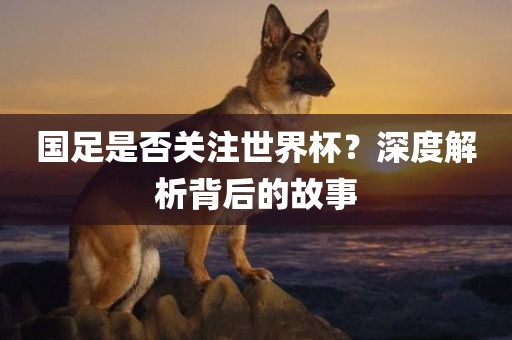 国足是否关注世界杯？深度解析背后的故事