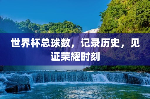 世界杯总球数，记录历史，见证荣耀时刻