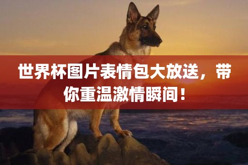 世界杯图片表情包大放送，带你重温激情瞬间！