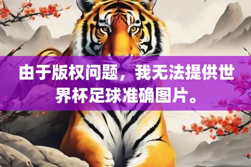 由于版权问题，我无法提供世界杯足球准确图片。