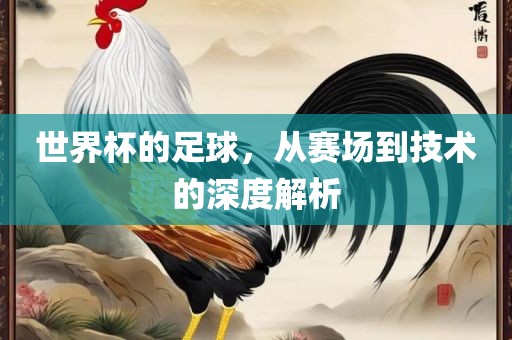 世界杯的足球，从赛场到技术的深度解析
