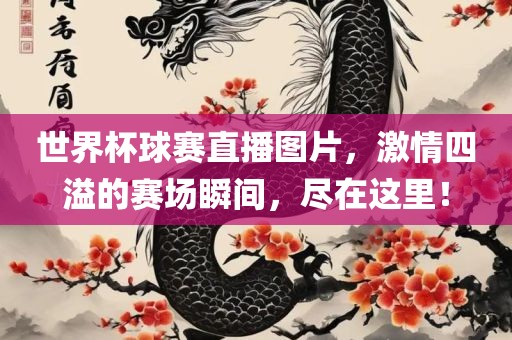 世界杯球赛直播图片，激情四溢的赛场瞬间，尽在这里！