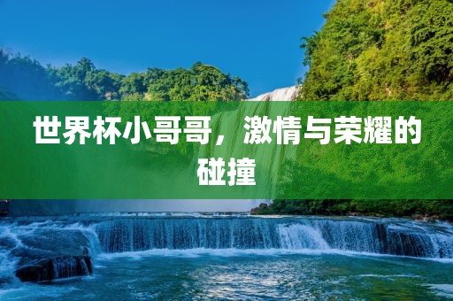 世界杯小哥哥，激情与荣耀的碰撞