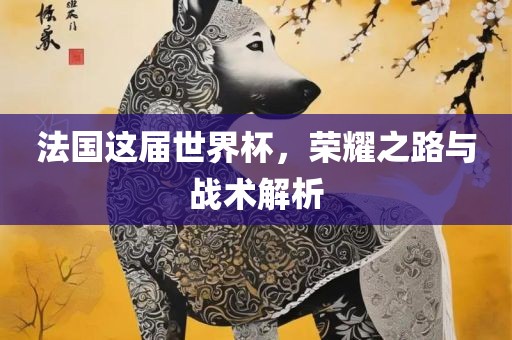 法国这届世界杯，荣耀之路与战术解析