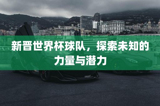 新晋世界杯球队，探索未知的力量与潜力
