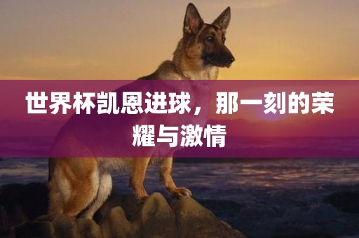 世界杯凯恩进球，那一刻的荣耀与激情