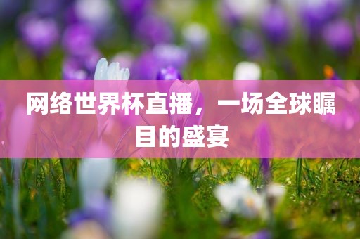 网络世界杯直播，一场全球瞩目的盛宴