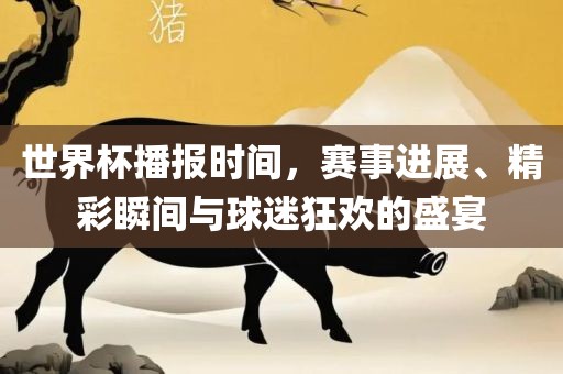 世界杯播报时间，赛事进展、精彩瞬间与球迷狂欢的盛宴