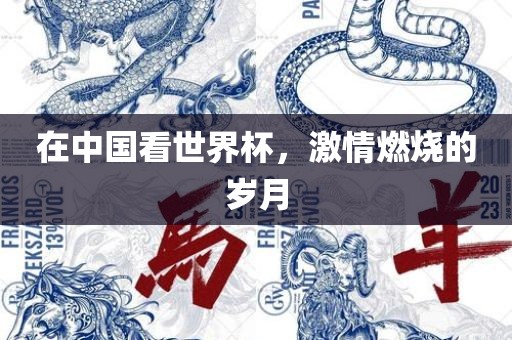在中国看世界杯，激情燃烧的岁月