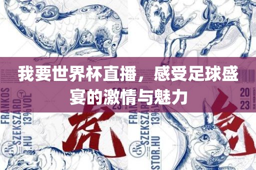 我要世界杯直播，感受足球盛宴的激情与魅力