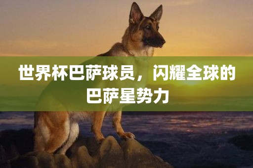 吉安市靖泰电力工程有限公司世界杯巴萨球员，闪耀全球的巴萨星势力