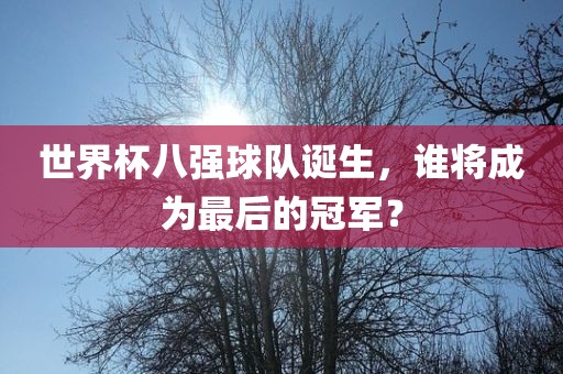 世界杯八强球队诞生，谁将成为最后的冠军？