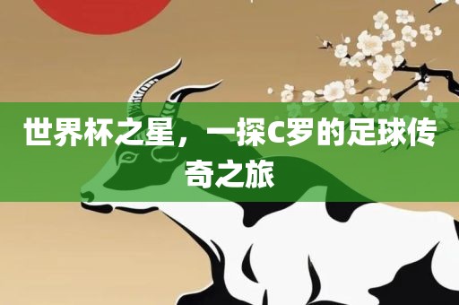 世界杯之星，一探C罗的足球传奇之旅