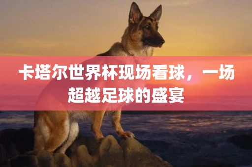 卡塔尔世界杯现场看球，一场超越足球的盛宴