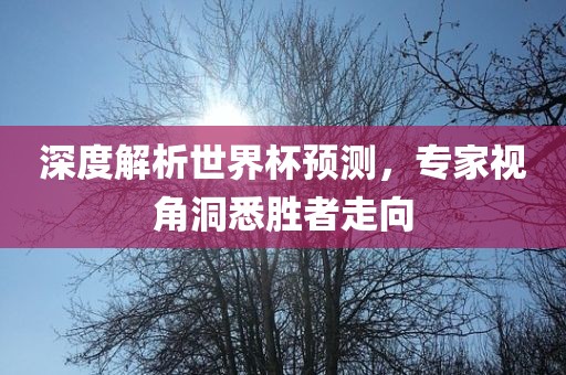 深度解析世界杯预测，专家视角洞悉胜者走向