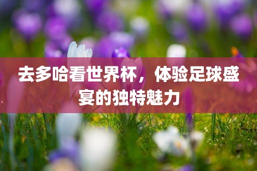 去多哈看世界杯，体验足球盛宴的独特魅力