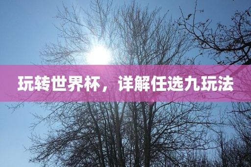 玩转世界杯，详解任选九玩法