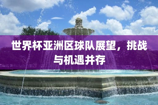 世界杯亚洲区球队展望，挑战与机遇并存