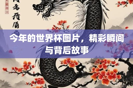 今年的世界杯图片，精彩瞬间与背后故事