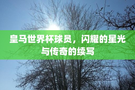 皇马世界杯球员，闪耀的星光与传奇的续写