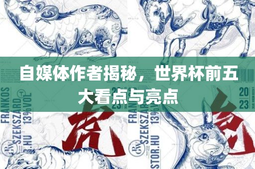 自媒体作者揭秘，世界杯前五大看点与亮点