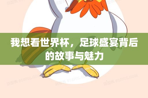 我想看世界杯，足球盛宴背后的故事与魅力