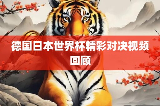 德国日本世界杯精彩对决视频回顾