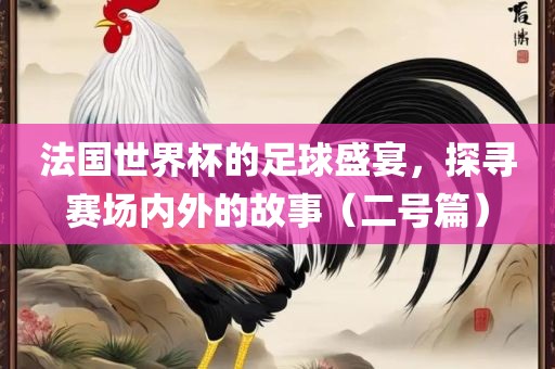 法国世界杯的足球盛宴，探寻赛场内外的故事（二号篇）