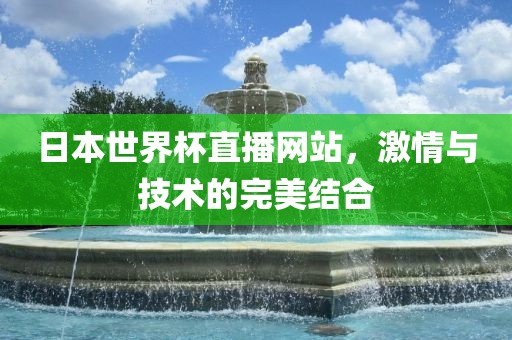 日本世界杯直播网站，激情与技术的完美结合