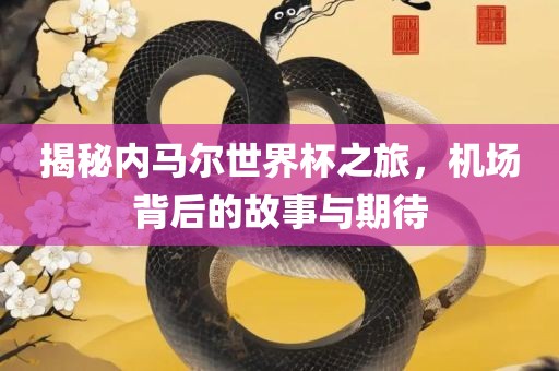 揭秘内马尔世界杯之旅，机场背后的故事与期待
