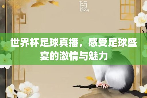 世界杯足球真播，感受足球盛宴的激情与魅力