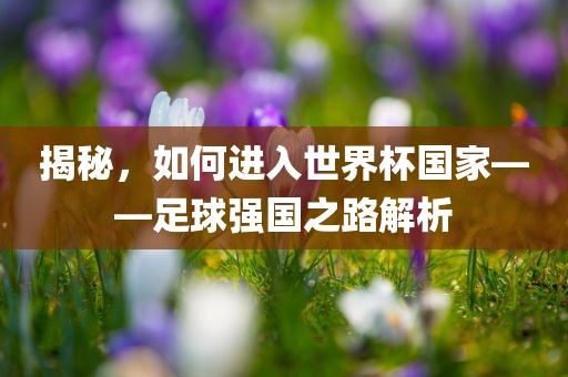 揭秘，如何进入世界杯国家——足球强国之路解析