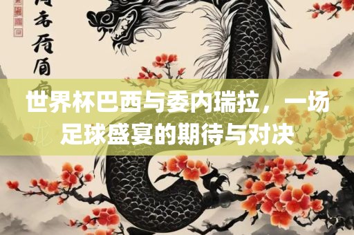 世界杯巴西与委内瑞拉，一场足球盛宴的期待与对决