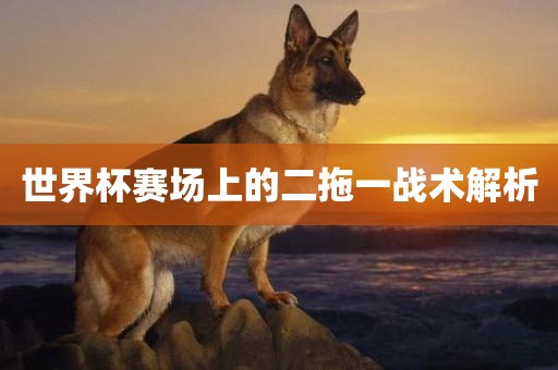 世界杯赛场上的二拖一战术解析