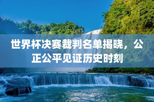 世界杯决赛裁判名单揭晓，公正公平见证历史时刻