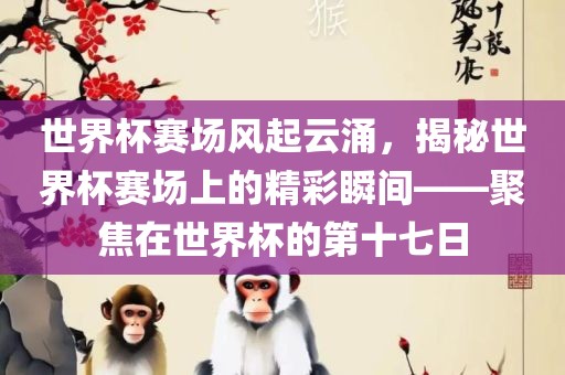 世界杯赛场风起云涌，揭秘世界杯赛场上的精彩瞬间——聚焦在世界杯的第十七日