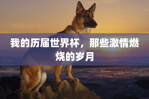 我的历届世界杯，那些激情燃烧的岁月