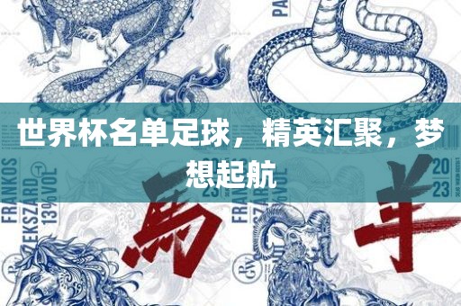 世界杯名单足球，精英汇聚，梦想起航