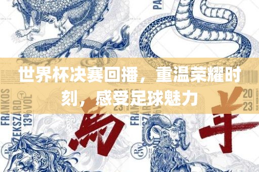 世界杯决赛回播，重温荣耀时刻，感受足球魅力