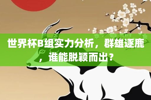 世界杯B组实力分析，群雄逐鹿，谁能脱颖而出？