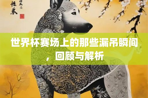 世界杯赛场上的那些漏吊瞬间，回顾与解析