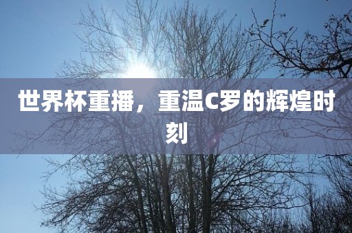 世界杯重播，重温C罗的辉煌时刻