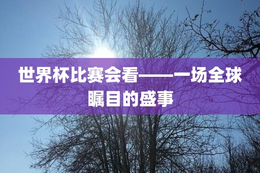 世界杯比赛会看——一场全球瞩目的盛事