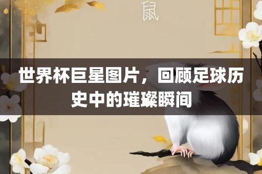 世界杯巨星图片，回顾足球历史中的璀璨瞬间